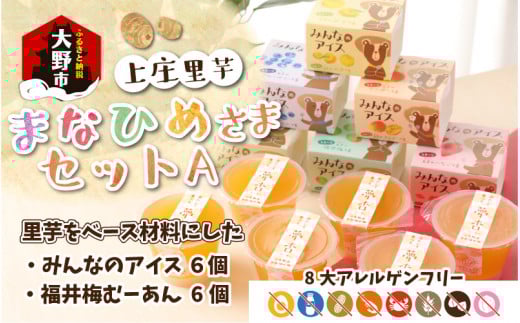 【アレルギー対応スイーツ】まなひめさまセットA(里芋ベースのゼリー風スイーツ&アレルギー特定原材料8品目不使用のアイス)【グルテンフリー】福井県大野市18000菓子・スイーツその他