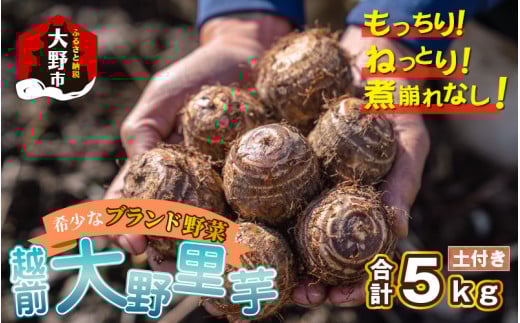 ys\zzO엢 5kg ˂Ƃ肤܂ϕꂵȂIy11菇z䌧s20000؁Ê卪EjWEؗ