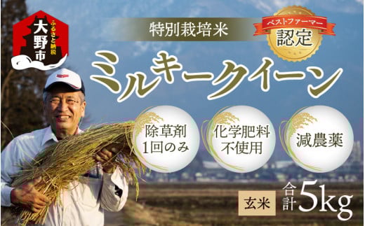 【先行予約】【令和7年産 新米】【無農薬に限りなく近い】ミルキークイーン 玄米 5kg 除草剤1回のみ・有機質肥料による特別栽培米福井県大野市25000米・パン白米