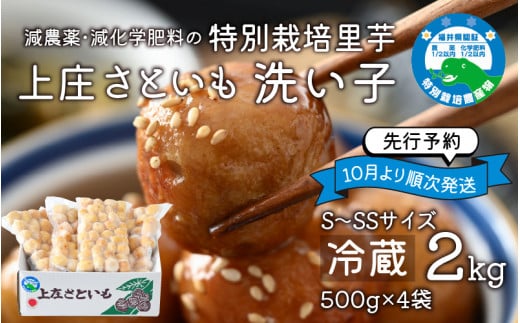 【先行予約】上庄さといも 洗い子 2kg(500g × 4袋)【冷蔵】減農薬・減化学肥料の特別栽培里芋 農家直送 煮物に便利な小さめサイズ【10月中旬より順次発送】福井県大野市12000野菜・きのこ