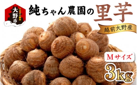 【先行予約】越前大野産 「純ちゃん農園の里芋 3kg」サイズM寸【10月下旬より順次発送】福井県大野市9000野菜・きのこ大根・ニンジン・根菜類