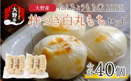 ys\zyNzzunۂZbg40v(50g × 40j Y񂿂傤Ďgpy1224܂ł̓mF͔N͂z䌧s15000āEpāEGāE