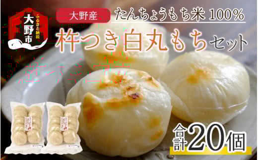 ys\zyNzzunۂZbg20v(80g × 20j Y񂿂傤Ďgp y1224܂ł̓mF͔N͂z䌧s13000āEpāEGāE