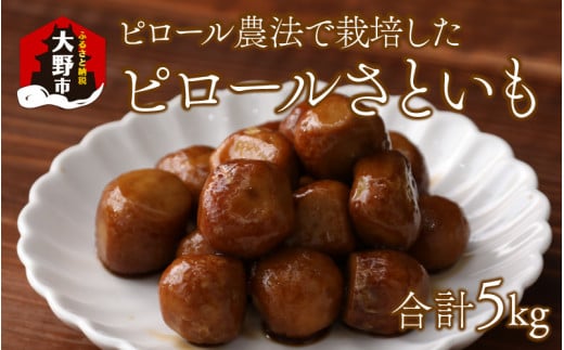 【先行予約】【ピロールさといも】ピロール農法で栽培した奥越のさといも5kg【12月20日までのご寄付で年内お届け】福井県大野市13000野菜・きのこその他 野菜