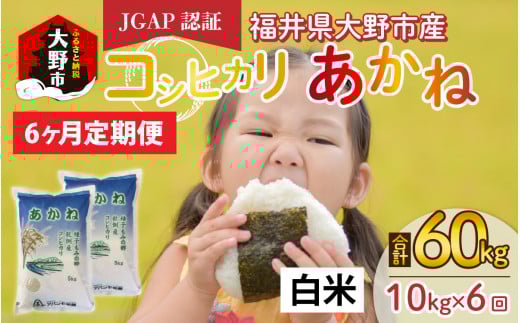【先行予約】【令和6年産 新米】【6ヶ月定期便】福井県大野市産 JGAP認証 コシヒカリ「あかね」(白米)5kg×2袋=10kg×6回 計60kg福井県大野市68000米・パン白米