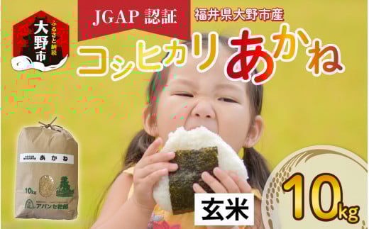 【先行予約】【令和6年産 新米】福井県大野市産 JGAP認証 コシヒカリ「あかね」(玄米)10kg【11月初旬より順次発送】福井県大野市12000米・パン白米