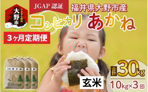【先行予約】【令和6年産 新米】【3ヶ月定期便】福井県大野市産 JGAP認証 コシヒカリ「あかね」(玄米)10kg×3回 計30kg福井県大野市34000米・パン白米