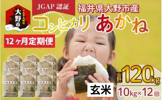 【先行予約】【令和6年産 新米】【12ヶ月定期便】福井県大野市産 JGAP認証 コシヒカリ「あかね」(玄米)10kg×12回 計120kg福井県大野市136000米・パン白米