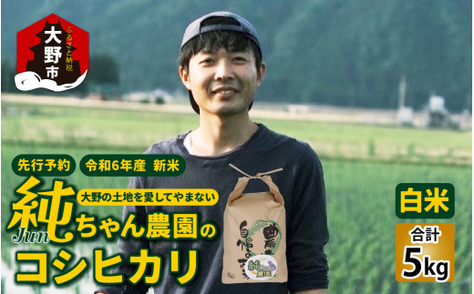 【先行予約】【令和7年産 新米】純ちゃん農園のコシヒカリ白米5kg【農家直送】福井県大野市12000米・パン白米