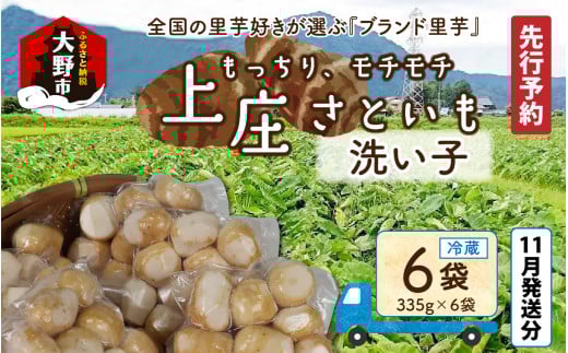 【先行予約】【11月発送分】満天☆上庄産さといもの「洗い子2.01kg(335g×6袋)」 日本一の味をめざし、有機肥料配合、減農薬栽培の「独自栽培」で作る洗い子福井県大野市10000野菜・きのこ