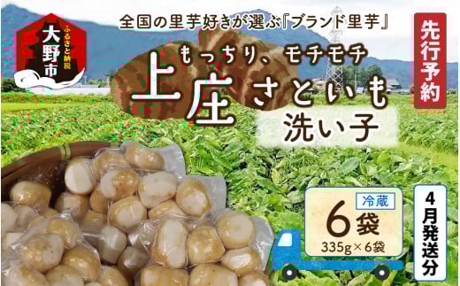 【先行予約】【4月発送分】満天☆上庄産さといもの「洗い子2.01kg(335g×6袋)」 日本一の味をめざし、有機肥料配合、減農薬栽培の「独自栽培」で作る洗い子福井県大野市10000野菜・きのこ
