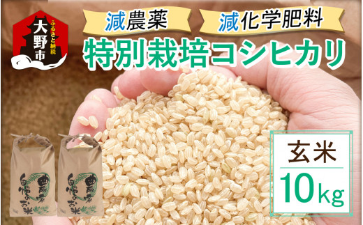 【先行予約】【令和7年産 新米】減農薬・減化学肥料の特別栽培コシヒカリ 玄米 10kg(5kg×2袋) 農家直送 福井県大野市産福井県大野市27000米・パン白米