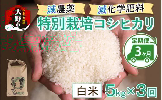 【令和7年産 新米】【3ヶ月定期便】減農薬・減化学肥料の特別栽培コシヒカリ 白米 5kg×3回 計15kg 農家直送 福井県大野市産福井県大野市40000米・パン白米
