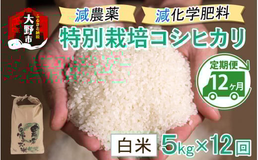 【先行予約】【令和7年産 新米】【12ヶ月定期便】減農薬・減化学肥料の特別栽培コシヒカリ 白米 5kg×12回 計60kg 農家直送 福井県大野市産福井県大野市160000米・パン白米