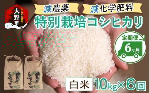 【令和7年産 新米】【6ヶ月定期便】減農薬・減化学肥料の特別栽培コシヒカリ 白米 10kg(5kg×2袋)×6回 計60kg農家直送 福井県大野市産福井県大野市160000米・パン白米