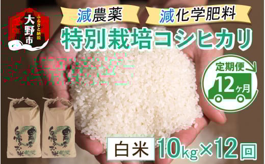 【令和7年産 新米】【12ヶ月定期便】減農薬・減化学肥料の特別栽培コシヒカリ 白米 10kg(5kg×2袋)×12回 計120kg農家直送 福井県大野市産福井県大野市320000米・パン白米