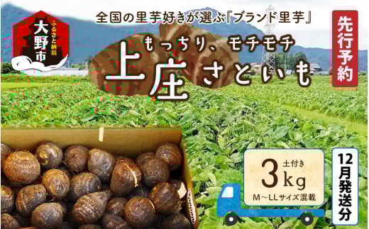 ys\zy12zV㏯YƂ3kg {̖߂AL@엿zA_͔|́uƎ͔|vō闢𕟈䌧s10000؁Ê卪EjWEؗ