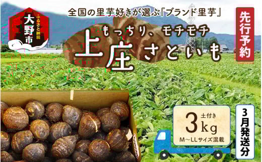 ys\zy3zV㏯YƂ3kg {̖߂AL@엿zA_͔|́uƎ͔|vō闢𕟈䌧s10000؁Ê卪EjWEؗ