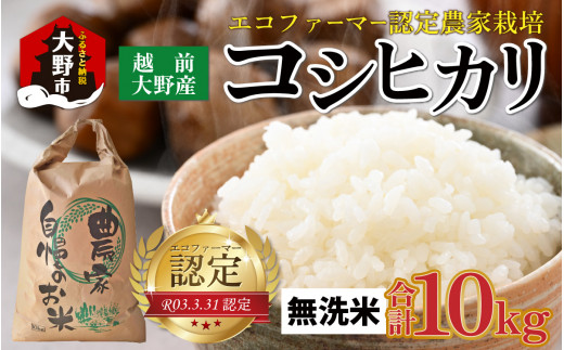 【令和6年産 新米】越前大野産 エコファーマー認定農家栽培 コシヒカリ10kg(無洗米)福井県大野市15000米・パン無洗米