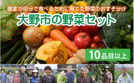 【先行予約】【11月発送分】【農家直送】「大野市の野菜セット」《農家が自分で食べるために育てた野菜のおすそ分け》福井県大野市10000野菜・きのこその他 野菜