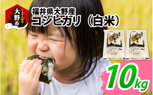 【先行予約】【令和7年産 新米】福井県大野産コシヒカリ(白米)10kg(5kg×2袋)福井県大野市22000米・パン白米