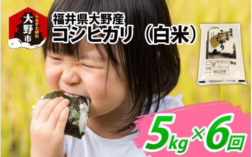 【先行予約】【6ヶ月定期便】【令和7年産 新米】福井県大野産コシヒカリ(白米)5kg×6回 計30kg福井県大野市64000米・パン白米