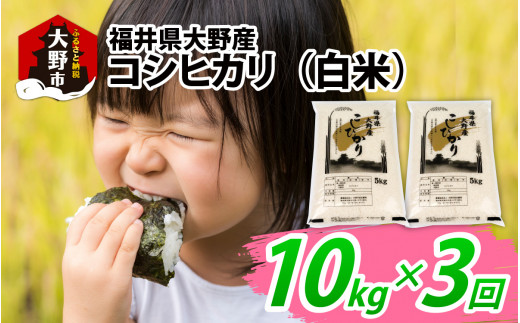 【先行予約】【3ヶ月定期便】【令和7年産 新米】福井県大野産コシヒカリ(白米)10kg(5kg×2袋)×3回 計30kg福井県大野市64000米・パン白米