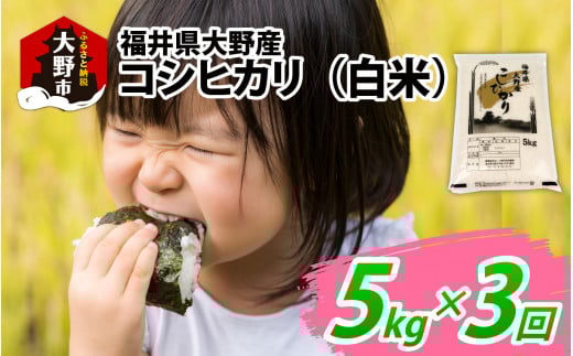 【先行予約】【3ヶ月定期便】【令和7年産 新米】福井県大野産コシヒカリ(白米)5kg×3回 計15kg福井県大野市32000米・パン白米
