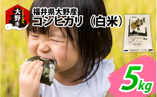 【先行予約】【令和7年産 新米】福井県大野産コシヒカリ(白米)5kg福井県大野市11000米・パン白米