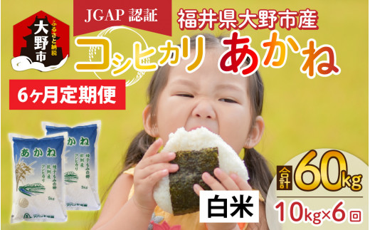 【先行予約】【令和7年産 新米】【6ヶ月定期便】福井県大野市産 JGAP認証 コシヒカリ「あかね」(白米)5kg×2袋=10kg×6回 計60kg福井県大野市114000米・パン白米