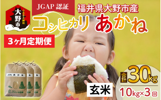 【先行予約】【令和7年産 新米】【3ヶ月定期便】福井県大野市産 JGAP認証 コシヒカリ「あかね」(玄米)10kg×3回 計30kg福井県大野市64000米・パン白米
