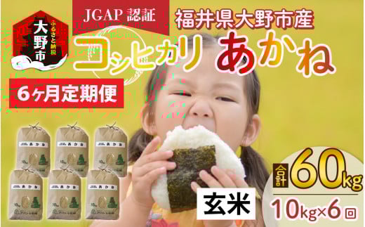 【先行予約】【令和7年産 新米】【6ヶ月定期便】福井県大野市産 JGAP認証 コシヒカリ「あかね」(玄米)10kg×6回 計60kg福井県大野市114000米・パン白米
