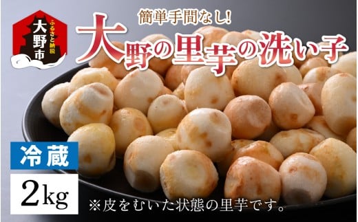 【令和7年産 収穫開始!】越前大野の里芋の洗い子【冷蔵】2kg | 里芋 里いも さといも福井県大野市10000野菜・きのこ大根・ニンジン・根菜類