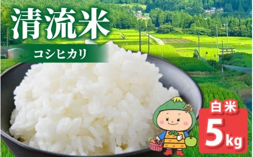 【令和7年産 新米】【福井県大野市】さかだに棚田清流米!(コシヒカリ)(白米) 5kg「今話題の、あのバンドのロケ地!」#?福井県大野市18000米・パン白米