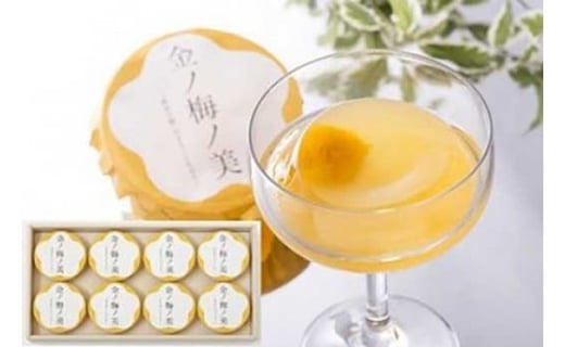 黄金の梅ゼリー×8個福井県越前市11000菓子・スイーツプリン・ゼリー