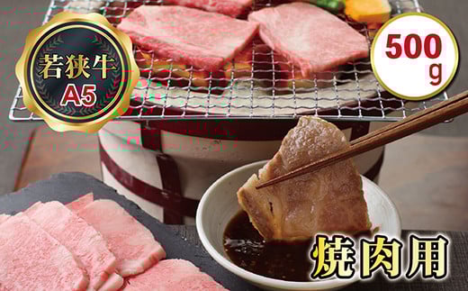 若狭牛焼肉用(A5ランク) 500g福井県越前市15000肉牛肉