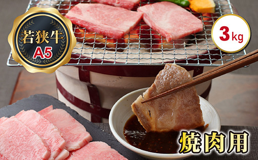若狭牛焼肉用(A5ランク) 3.0kg福井県越前市79000肉牛肉