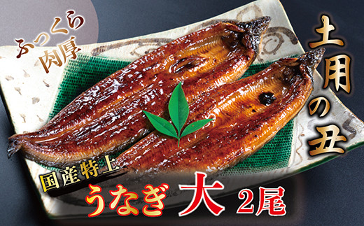 YIイȂ̂ΏĂ 200g × 2䌧zOs15000ECYȂ