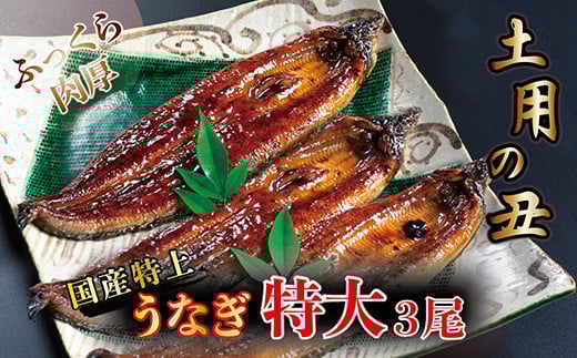 YIイȂ̂ΏĂ 250g × 3䌧zOs28000ECYȂ