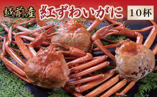 【冷蔵発送】越前産 紅ずわいがに 10杯福井県越前市80000魚介・海産物カニ