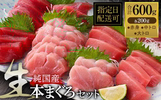【冷蔵・指定日着可】絶品!生本マグロ セット 大トロ 200g + 中トロ 200g + 赤身 200g (すべて柵どり)福井県越前市40000魚介・海産物鮮魚