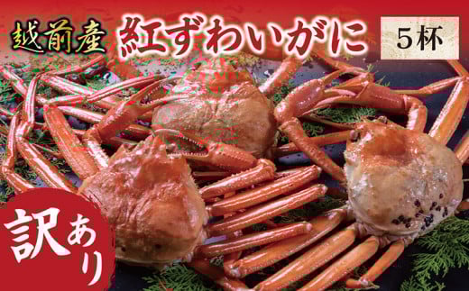 【冷蔵発送・訳あり】越前産 紅ずわいがに 5杯福井県越前市30000魚介・海産物カニ