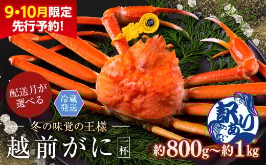 【2026年1月発送・月指定可】【先行予約 9月10月限定】越前がに(オス)「ずわいがに」大サイズ(800g-1kg) 訳あり 1杯福井県越前市32000魚介・海産物カニ
