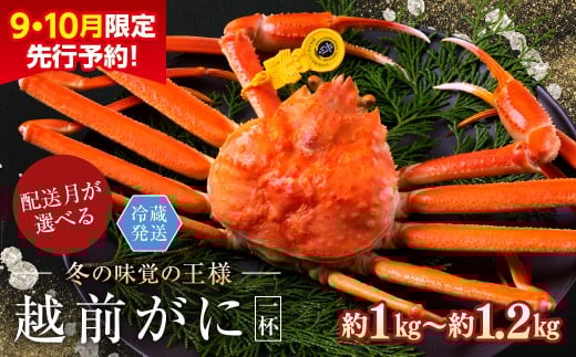 【年内発送・指定日着可】【先行予約 9月10月限定】越前がに(オス)「ずわいがに」特大サイズ(1.0-1.2kg) 1杯福井県越前市74000魚介・海産物カニ