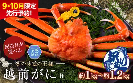 【2026年1月発送・月指定可】【先行予約 9月10月限定】越前がに(オス)「ずわいがに」特大(1.0-1.2kg) 訳あり 1杯福井県越前市39000魚介・海産物カニ
