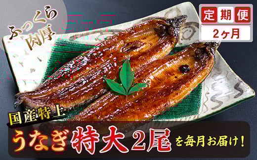 yւQzYIイȂ̂ΏĂ 250g × 2× 2񂨓͂ i͂j䌧zOs38000ECYȂ