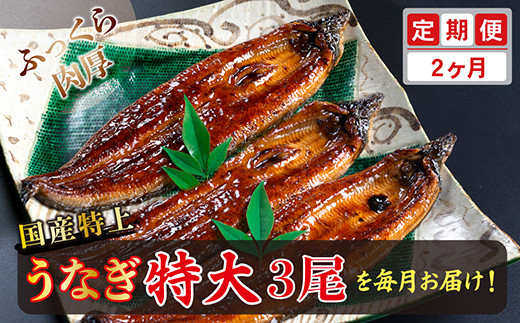 yւQzYIイȂ̂ΏĂ 250g × 3 × 2񂨓͂ i͂j䌧zOs56000ECYȂ