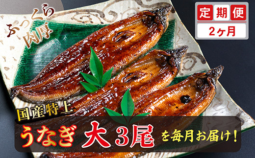 yւQzYIイȂ̂ΏĂ 200g × 3× 2񂨓͂ i͂j䌧zOs44000ECYȂ
