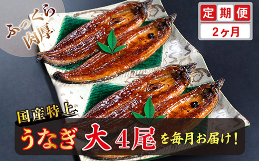 【定期便2回】国産!特上うなぎのかば焼き 約200g × 4尾 × 2回お届け (毎月お届け)福井県越前市60000魚介・海産物うなぎ
