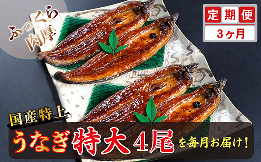【定期便3回】国産!特上うなぎのかば焼き 約250g × 4尾 × 3回お届け (毎月お届け)福井県越前市120000魚介・海産物うなぎ